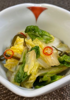 乳酸菌たっぷり！簡単白菜漬け-レシピのメイン写真