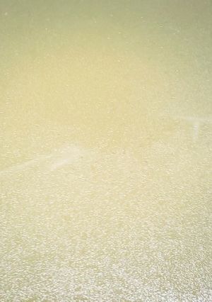 タチウオのアラで上品なだし汁-レシピのメイン写真