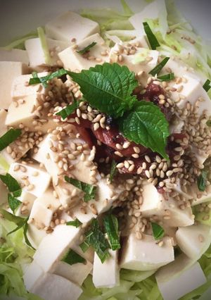 キャベツと豆腐のダイエットサラダ-レシピのメイン写真