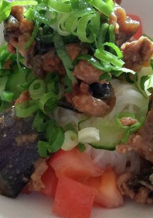 ジャージャー茄子そうめん-レシピのメイン写真