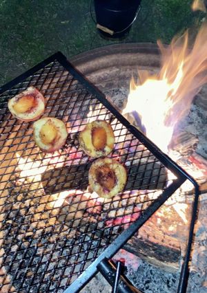 [キャンプ] 焼き桃！簡単デザート-レシピのメイン写真