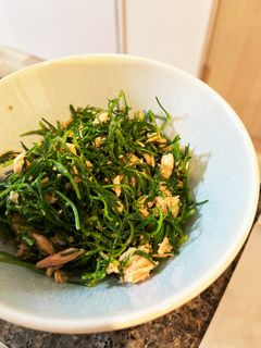 おかひじきの胡麻和え-レシピのメイン写真