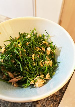 おかひじきの胡麻和え-レシピのメイン写真
