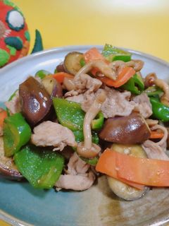 なすとピーマンの中華炒め-レシピのメイン写真