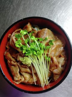 豚肉の蒲焼き丼-レシピのメイン写真