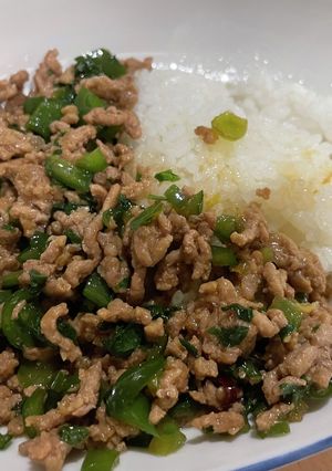 私の殿堂入り和風ガパオ-レシピのメイン写真