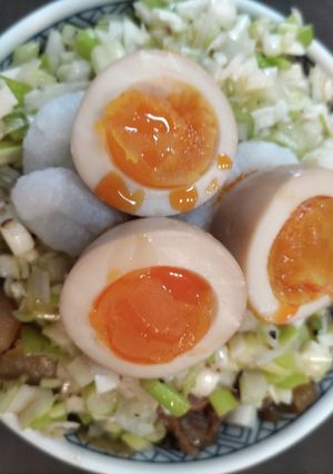 さっぱりスタミナ丼-レシピのメイン写真