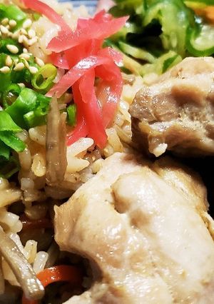 お年寄り絶賛シリーズ☆ゴボウ鶏肉炊き込☆-レシピのメイン写真