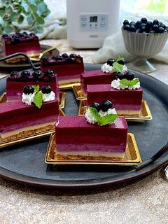 ブルーベリーのヨーグルトケーキ-レシピのメイン写真