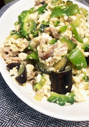夏野菜でチャレンジ☆ゴーヤチャンプル♪-レシピのメイン写真