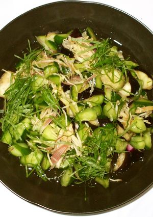 夏野菜の浅漬け♪暑い季節に簡単漢方薬膳-レシピのメイン写真