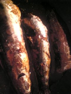 鰯の生姜煮-レシピのメイン写真