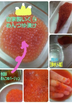 2022年★初もの生鮭子★いくら漬けに-レシピのメイン写真