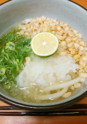 涼感タップリ　すだちおろしうどん-レシピのメイン写真