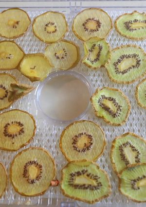 ドライキウイで皮まで食べれちゃう！-レシピのメイン写真