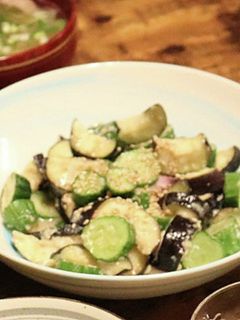 塩麹と味噌だけで出来る茄子胡瓜の漬物-レシピのメイン写真