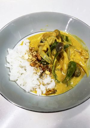 冷めても美味しい！ココナッツカレー-レシピのメイン写真