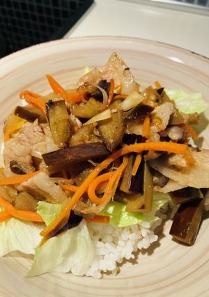 たっぷり野菜と豚バラの酢照り焼き♪-レシピのメイン写真
