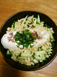 我が家の丼 たぬき冷やっこ丼-レシピのメイン写真