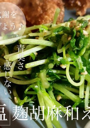 青臭さ感じない！豆苗の塩麹胡麻和え-レシピのメイン写真