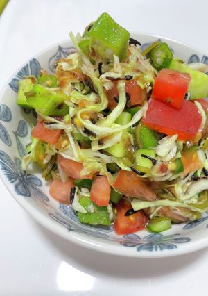 夏に食べたい！オクラのネバとろサラダ-レシピのメイン写真