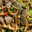 究極の食前の神様ヒラタケのあえもの