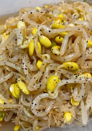 豆もやしのナムル。長ネギが味のポイントっ-レシピのメイン写真