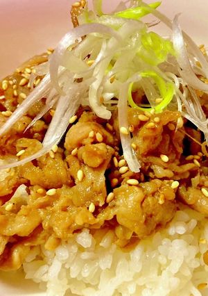 簡単!旨い!極上タレの豚丼-レシピのメイン写真