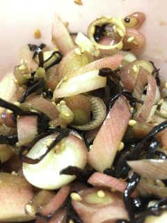 ミョウガの塩昆布和え-レシピのメイン写真