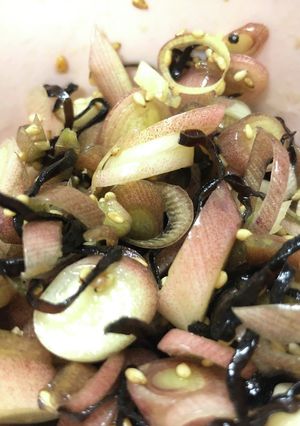 ミョウガの塩昆布和え-レシピのメイン写真