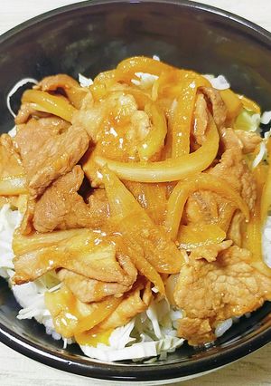 我が家の丼　豚肉の生姜炒め丼-レシピのメイン写真