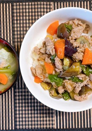 ガッツリ肉料理！揚げナスと豚肉の彩り丼-レシピのメイン写真