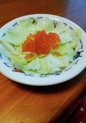のせるだけ！無限いくらキャベツ-レシピのメイン写真
