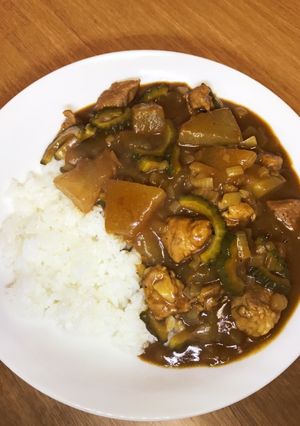 冬瓜とゴーヤのポークカレー-レシピのメイン写真