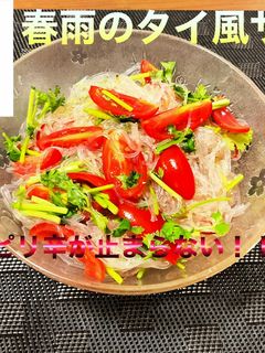 春雨のタイ風サラダ-レシピのメイン写真