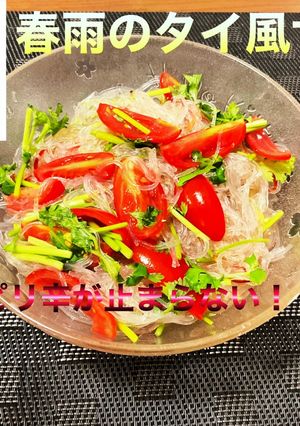 春雨のタイ風サラダ-レシピのメイン写真