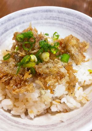我が家の丼　しらす丼-レシピのメイン写真
