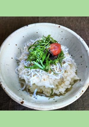 しらす丼-レシピのメイン写真