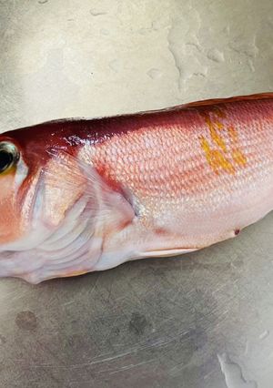 【お魚】捌いた後の処理-レシピのメイン写真