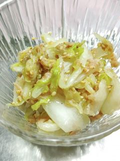 簡単♪白菜とシーチキンのサラダ-レシピのメイン写真