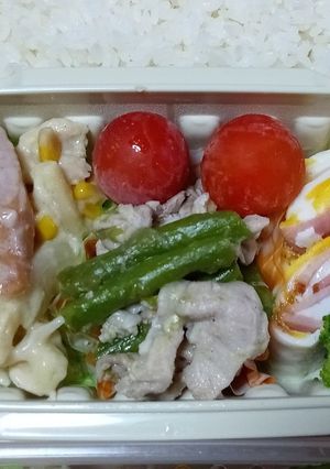 8/29ベーコンエッグ、グラタン弁当-レシピのメイン写真