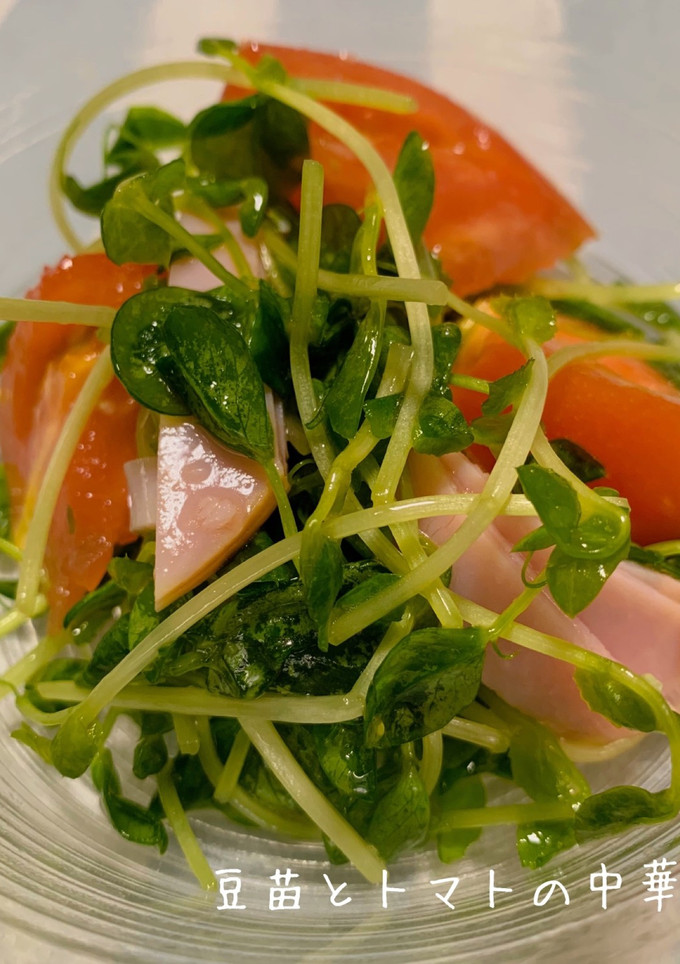 豆苗とトマトの中華和え-レシピのメイン写真