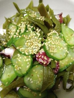 かんたん酢で茎わかめと蛸の酢の物-レシピのメイン写真