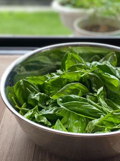 バジル香る、ジェノベーゼソース-レシピのメイン写真