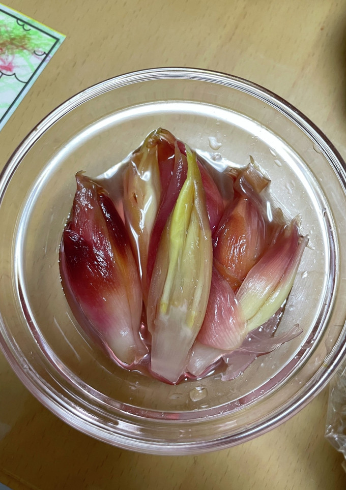 みょうがの甘酢漬け〜みょうがの冷凍保存-レシピのメイン写真