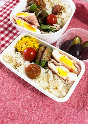 20220830娘ちゃんのお弁当-レシピのメイン写真