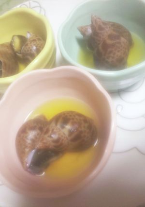 ~バイ貝の砂抜き(下処理)&白だし煮~-レシピのメイン写真