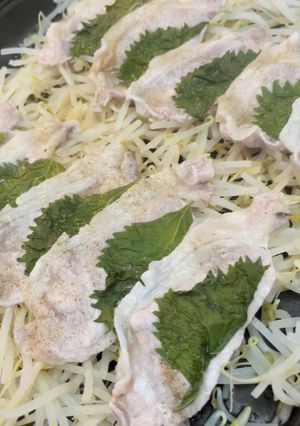 ホットプレートで簡単豚もやし-レシピのメイン写真