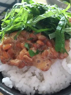 納豆ご飯(大葉)-レシピのメイン写真