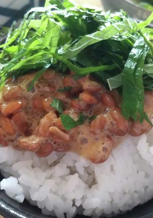 納豆ご飯(大葉)-レシピのメイン写真